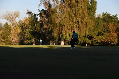 DSC_2372 (Large).JPG